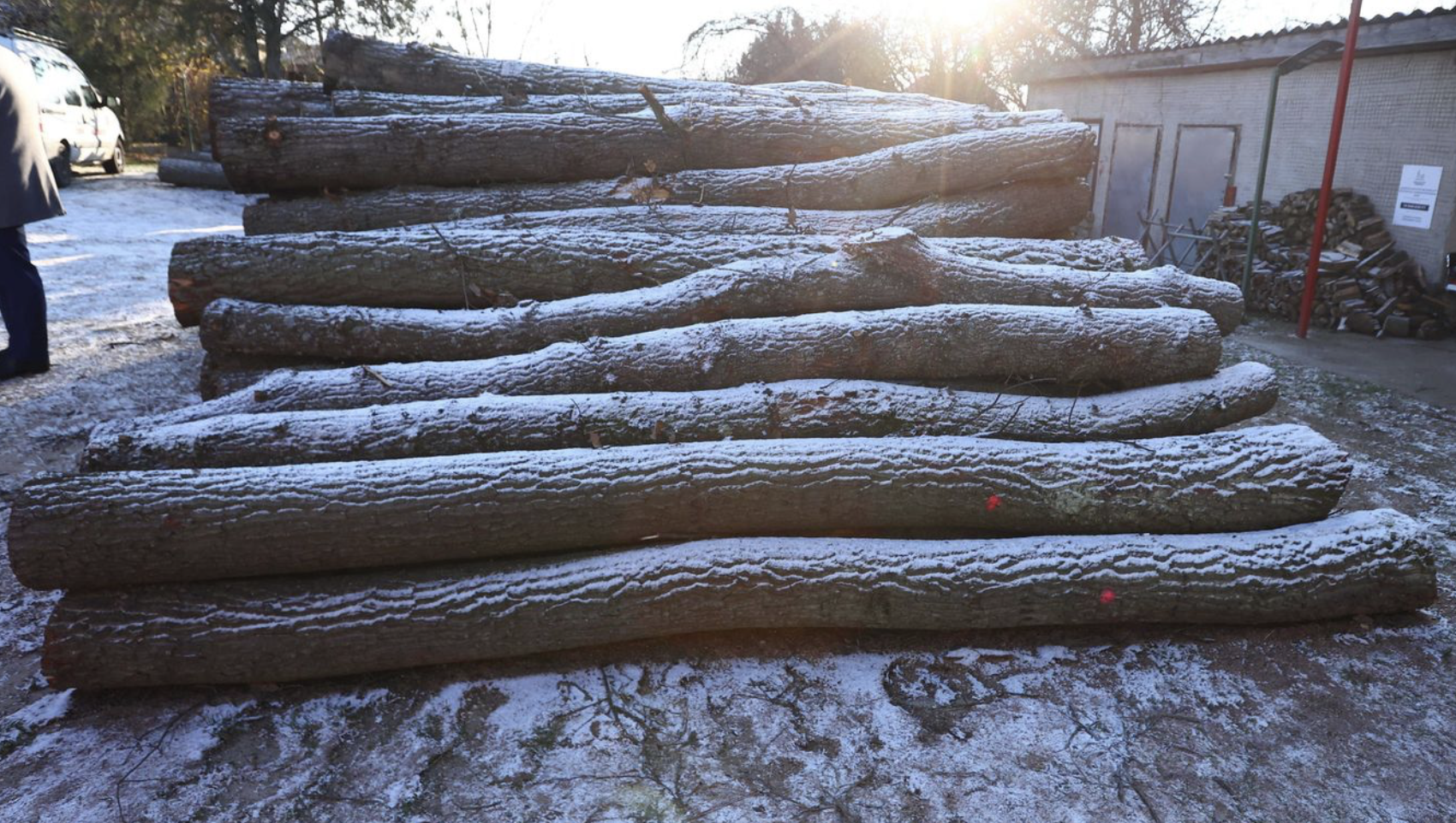 Ingyenessé vált a tűzifa az állami cégeknél a rendkívüli időjárás idejére